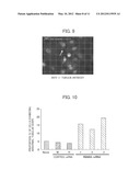 ANTI-CANCER AGENT, METHOD FOR INDUCING APOPTOSIS OF CANCER CELLS, AND     METHOD FOR SCREENING FOR ANTI-CANCER AGENT diagram and image