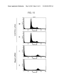 ANTI-CANCER AGENT, METHOD FOR INDUCING APOPTOSIS OF CANCER CELLS, AND     METHOD FOR SCREENING FOR ANTI-CANCER AGENT diagram and image