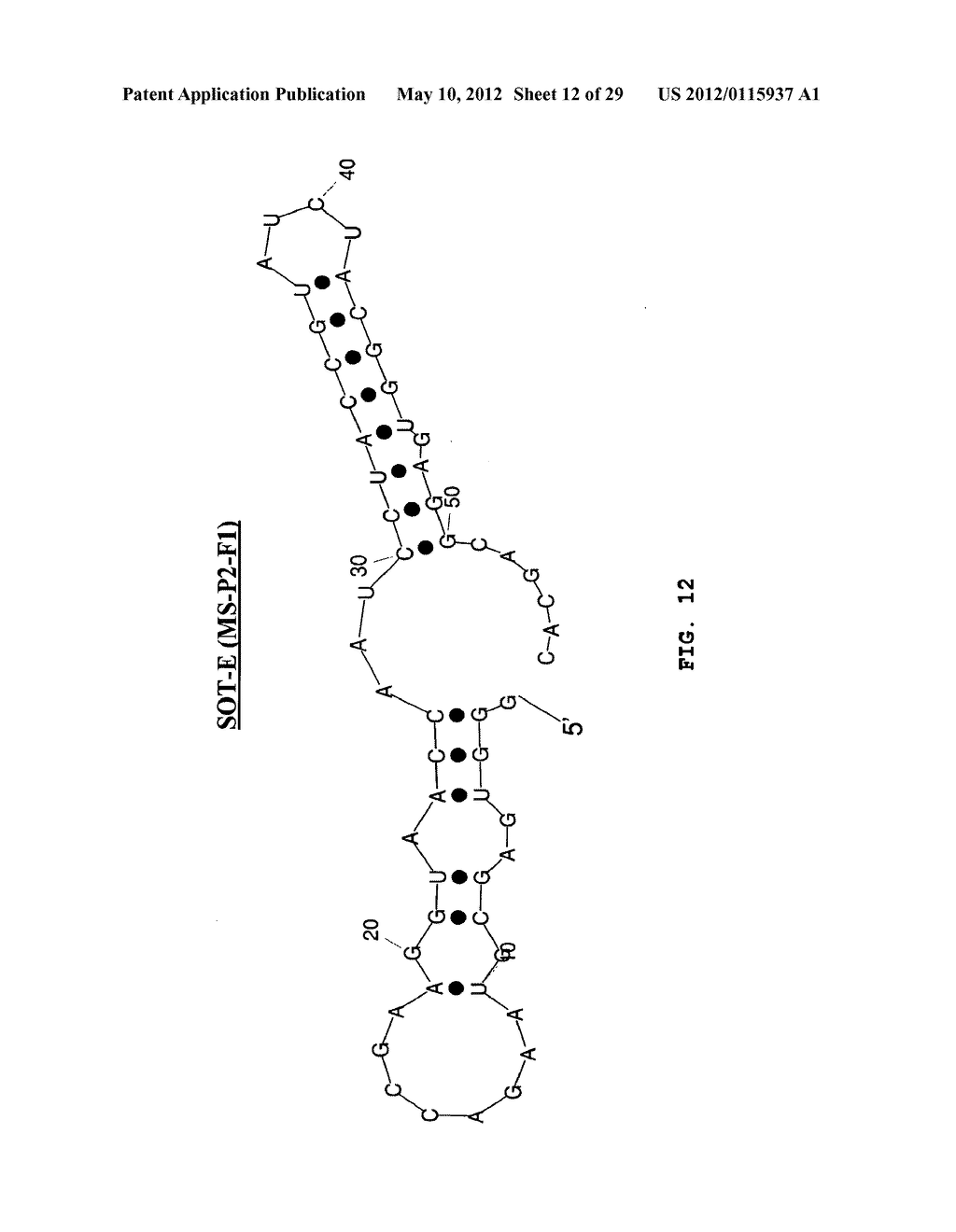 Ghrelin binding nucleic acids - diagram, schematic, and image 13