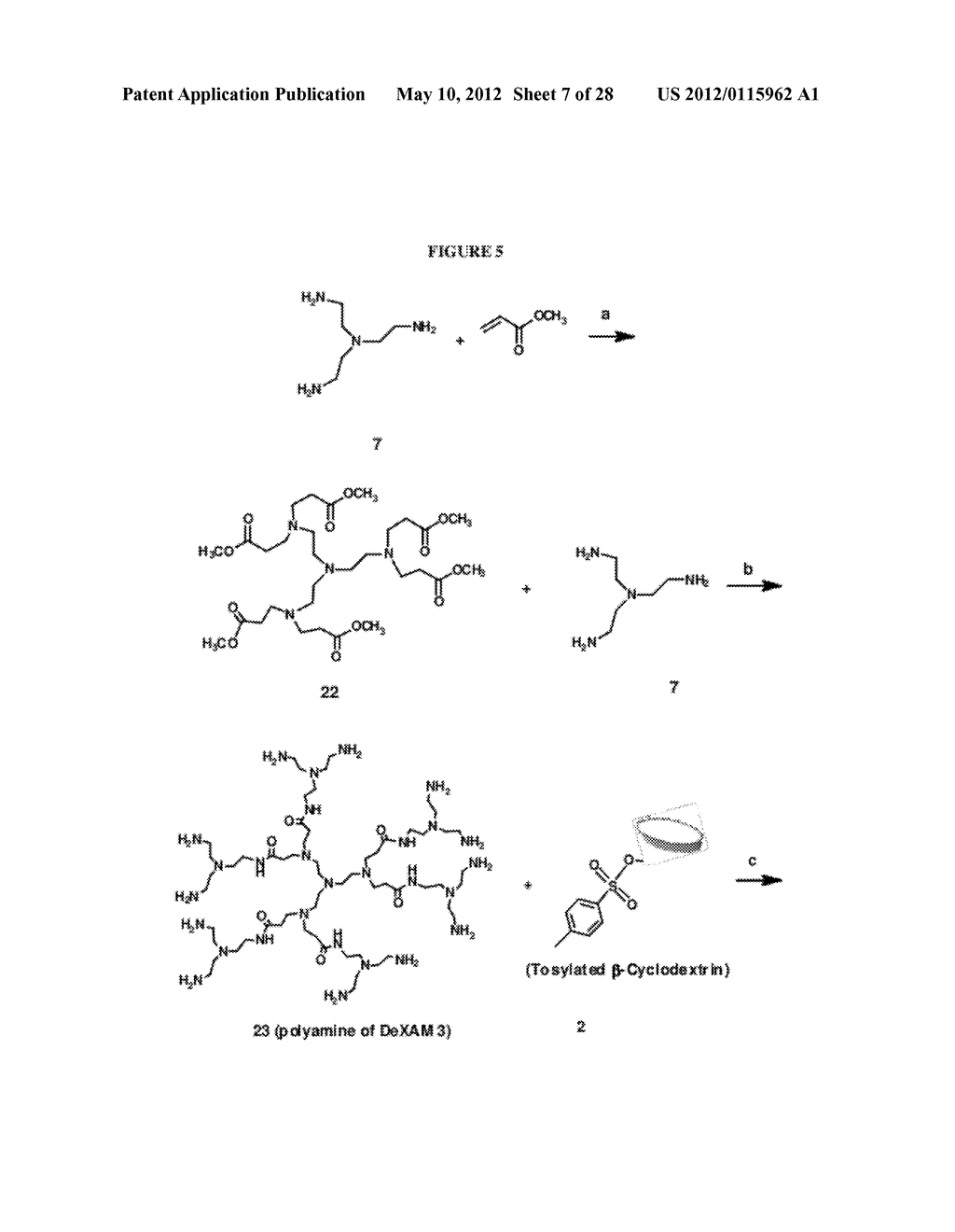 CYCLODEXTRIN-MODIFIED POLYAMINES FOR DELIVERY OF THERAPEUTIC MOLECULES - diagram, schematic, and image 08