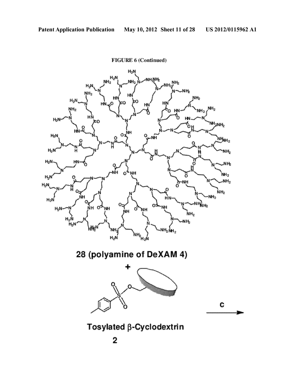 CYCLODEXTRIN-MODIFIED POLYAMINES FOR DELIVERY OF THERAPEUTIC MOLECULES - diagram, schematic, and image 12