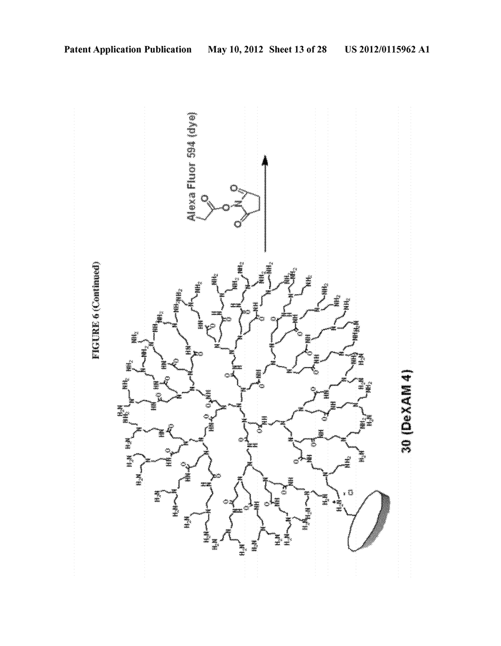 CYCLODEXTRIN-MODIFIED POLYAMINES FOR DELIVERY OF THERAPEUTIC MOLECULES - diagram, schematic, and image 14