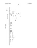 PROCESS FOR FORMING A HYDROPHILIC COATING AND HYDROPHILIC COATING, AND     PROCESS FOR FORMING AN INK JET RECORDING HEAD AND INK JET RECORDING HEAD diagram and image