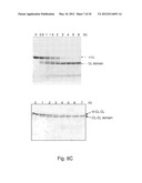 EXPRESSION OF TRIPLE-HELICAL COLLAGEN-LIKE PRODUCTS IN E.COLI diagram and image