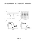 EXPRESSION OF TRIPLE-HELICAL COLLAGEN-LIKE PRODUCTS IN E.COLI diagram and image