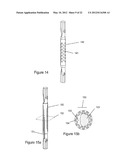 ACTIVATION AND DELIVERY DEVICES FOR THERAPEUTIC COMPOSITIONS diagram and image