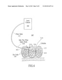 Treatment of Cellulite and Adipose Tissue with Mid-Infrared Radiation diagram and image