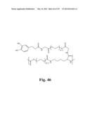 ADHESIVE COMPOUNDS AND METHODS USE FOR HERNIA REPAIR diagram and image