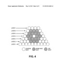 DEVICES, SYSTEMS, AND METHODS FOR THE FABRICATION OF TISSUE diagram and image