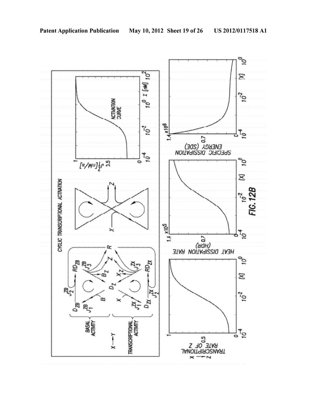 DESIGNING SYNTHETIC BIOLOGICAL CIRCUITS USING OPTIMALITY AND     NONEQUILIBRIUM THERMODYNAMICS - diagram, schematic, and image 20