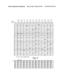 Translating a User Design in A Configurable IC for Debugging the User     Design diagram and image