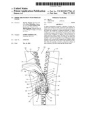 ZIPPER ARRANGEMENT WITH WHEELED SLIDER diagram and image