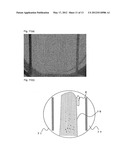 DEVICE AND METHOD FOR SEQUESTERING A SUBSTANCE diagram and image