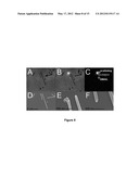 Remote Nanoscale Photochemistry Using Guided Emission in Nanowires diagram and image