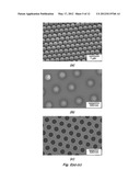 PERFORATED CONTACT ELECTRODE ON VERTICAL NANOWIRE ARRAY diagram and image