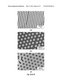 PERFORATED CONTACT ELECTRODE ON VERTICAL NANOWIRE ARRAY diagram and image