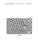 PERFORATED CONTACT ELECTRODE ON VERTICAL NANOWIRE ARRAY diagram and image