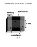 PERFORATED CONTACT ELECTRODE ON VERTICAL NANOWIRE ARRAY diagram and image