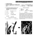 IMAGE PICKUP APPARATUS HAVING AUTO FOCUSING FUNCTION USING FRACTAL     DIMENSION AND AN AUTO FOCUSING METHOD diagram and image