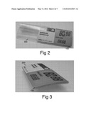 DISPLAY MODULE AND RELATED MANUFACTURING METHOD diagram and image