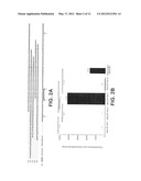 HMGN2 PEPTIDES AND RELATED MOLECULES THAT SELECTIVELY HOME TO TUMOR BLOOD     VESSELS AND TUMOR CELLS diagram and image