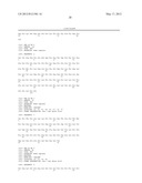 HMGN2 PEPTIDES AND RELATED MOLECULES THAT SELECTIVELY HOME TO TUMOR BLOOD     VESSELS AND TUMOR CELLS diagram and image