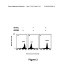 B CELL SURFACE REACTIVE ANTIBODIES diagram and image