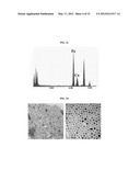 BIODEGRADABLE AND THERMOSENSITIVE     POLY(ORGANOPHOSPHAZENE)-SUPERPARAMAGNETIC NANOPARTICLE COMPLEX,     PREPARATION METHOD AND USE THEREOF diagram and image