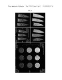 BIODEGRADABLE AND THERMOSENSITIVE     POLY(ORGANOPHOSPHAZENE)-SUPERPARAMAGNETIC NANOPARTICLE COMPLEX,     PREPARATION METHOD AND USE THEREOF diagram and image