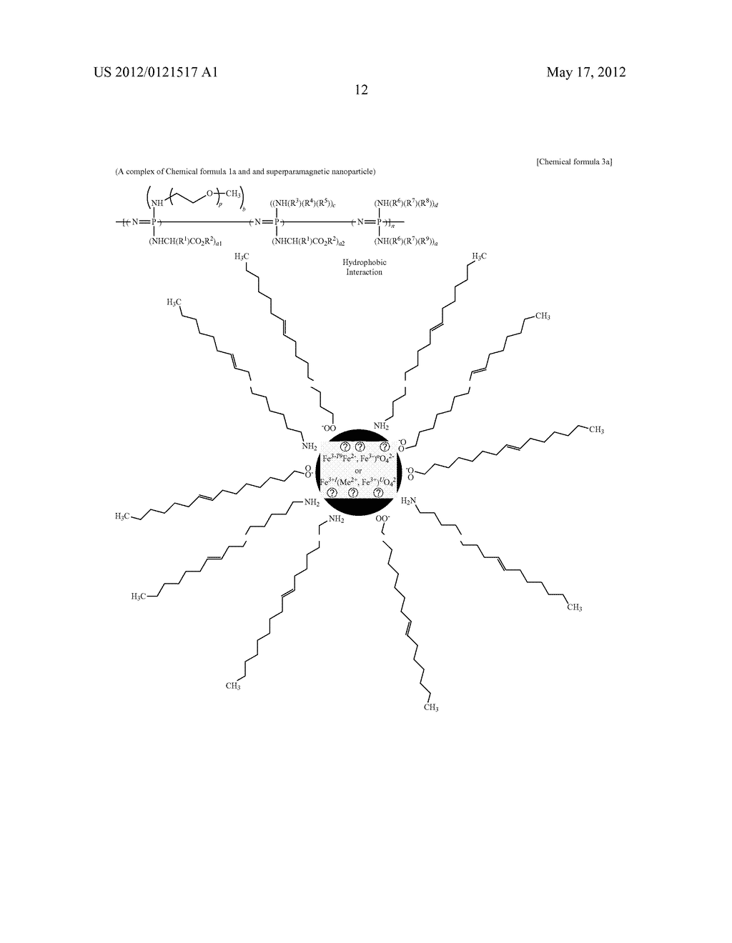 BIODEGRADABLE AND THERMOSENSITIVE     POLY(ORGANOPHOSPHAZENE)-SUPERPARAMAGNETIC NANOPARTICLE COMPLEX,     PREPARATION METHOD AND USE THEREOF - diagram, schematic, and image 28