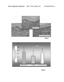 INJECTABLE COMPOSITION COMBINING A FILLING AGENT AND A FIBROBLAST GROWTH     MEDIUM diagram and image