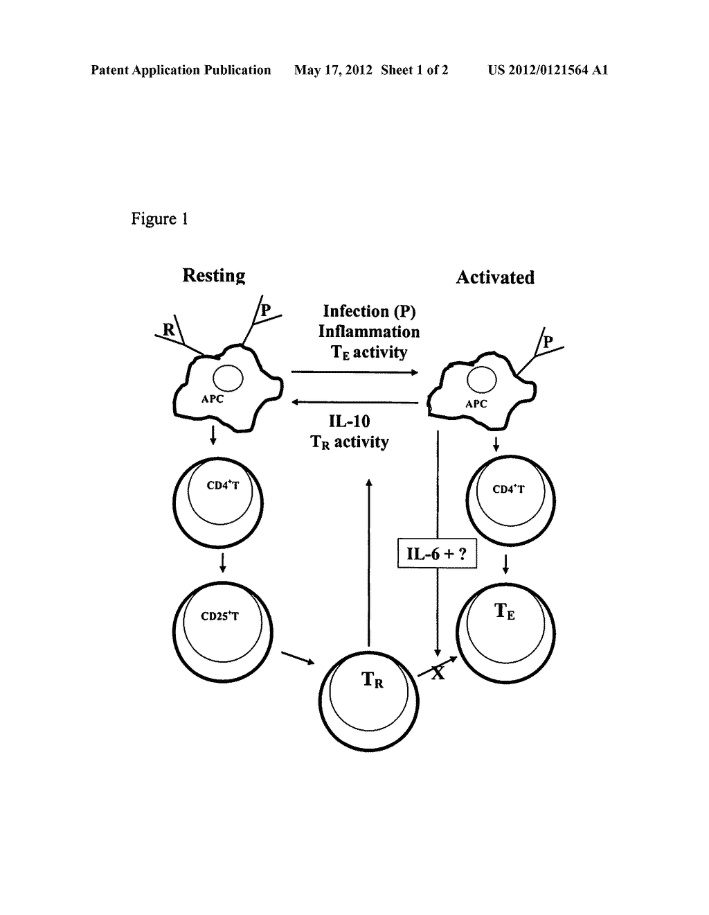 Use of selected lactic acid bacteria for reducing infantile colic - diagram, schematic, and image 02