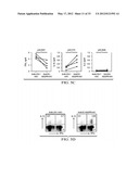 Targeting Antigens to Human Dendritic Cells Via DC-Asialoglycoprotein     Receptor to Produce IL-10 Regulatory T-Cells diagram and image