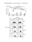 Targeting Antigens to Human Dendritic Cells Via DC-Asialoglycoprotein     Receptor to Produce IL-10 Regulatory T-Cells diagram and image