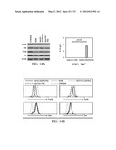 Targeting Antigens to Human Dendritic Cells Via DC-Asialoglycoprotein     Receptor to Produce IL-10 Regulatory T-Cells diagram and image