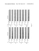 FRAGMENT OF SECRETED HEAT SHOCK PROTEIN-90ALPHA (Hsp90ALPHA) AS VACCINES     OR EPITOPE FOR MONOCLONAL ANTIBODY DRUGS OR TARGET FOR SMALL MOLECULE     DRUGS AGAINST A RANGE OF SOLID HUMAN TUMORS diagram and image