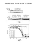 BISPECIFIC ANTI-HER ANTIBODIES diagram and image