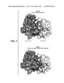 BISPECIFIC ANTI-HER ANTIBODIES diagram and image