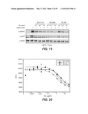 BISPECIFIC ANTI-HER ANTIBODIES diagram and image