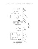 COMBINATION OF ANTI-CTLA4 ANTIBODY WITH DIVERSE THERAPEUTIC REGIMENS FOR     THE SYNERGISTIC TREATMENT OF PROLIFERATIVE DISEASES diagram and image