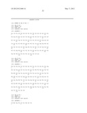 COMBINATION OF ANTI-CTLA4 ANTIBODY WITH DIVERSE THERAPEUTIC REGIMENS FOR     THE SYNERGISTIC TREATMENT OF PROLIFERATIVE DISEASES diagram and image