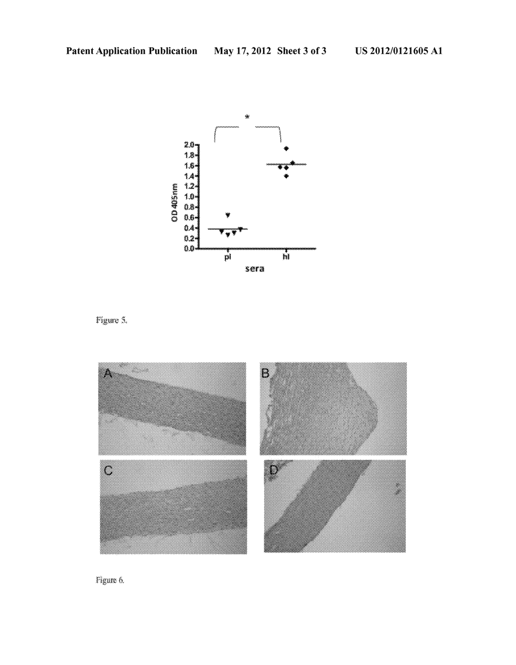 ANTI SULFATIDES AND ANTI SUFATED PROTEOGLYCANS ANTIBODIES AND THEIR USE - diagram, schematic, and image 04