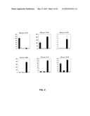 METHOD OF TREATING AUTOIMMUNE DISEASE WITH MESENCHYMAL STEM CELLS diagram and image