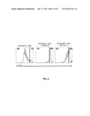 METHOD OF TREATING AUTOIMMUNE DISEASE WITH MESENCHYMAL STEM CELLS diagram and image