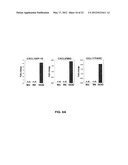 METHOD OF TREATING AUTOIMMUNE DISEASE WITH MESENCHYMAL STEM CELLS diagram and image