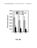 METHOD OF TREATING AUTOIMMUNE DISEASE WITH MESENCHYMAL STEM CELLS diagram and image