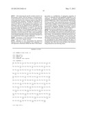 Chimeric VEGF Peptides diagram and image