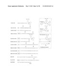 HIV CD4 BINDING SITE BASED COVALENT IMMUNOGEN COMPOSITIONS diagram and image