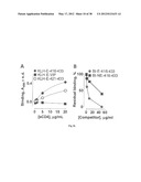 HIV CD4 BINDING SITE BASED COVALENT IMMUNOGEN COMPOSITIONS diagram and image