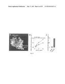 HIV CD4 BINDING SITE BASED COVALENT IMMUNOGEN COMPOSITIONS diagram and image